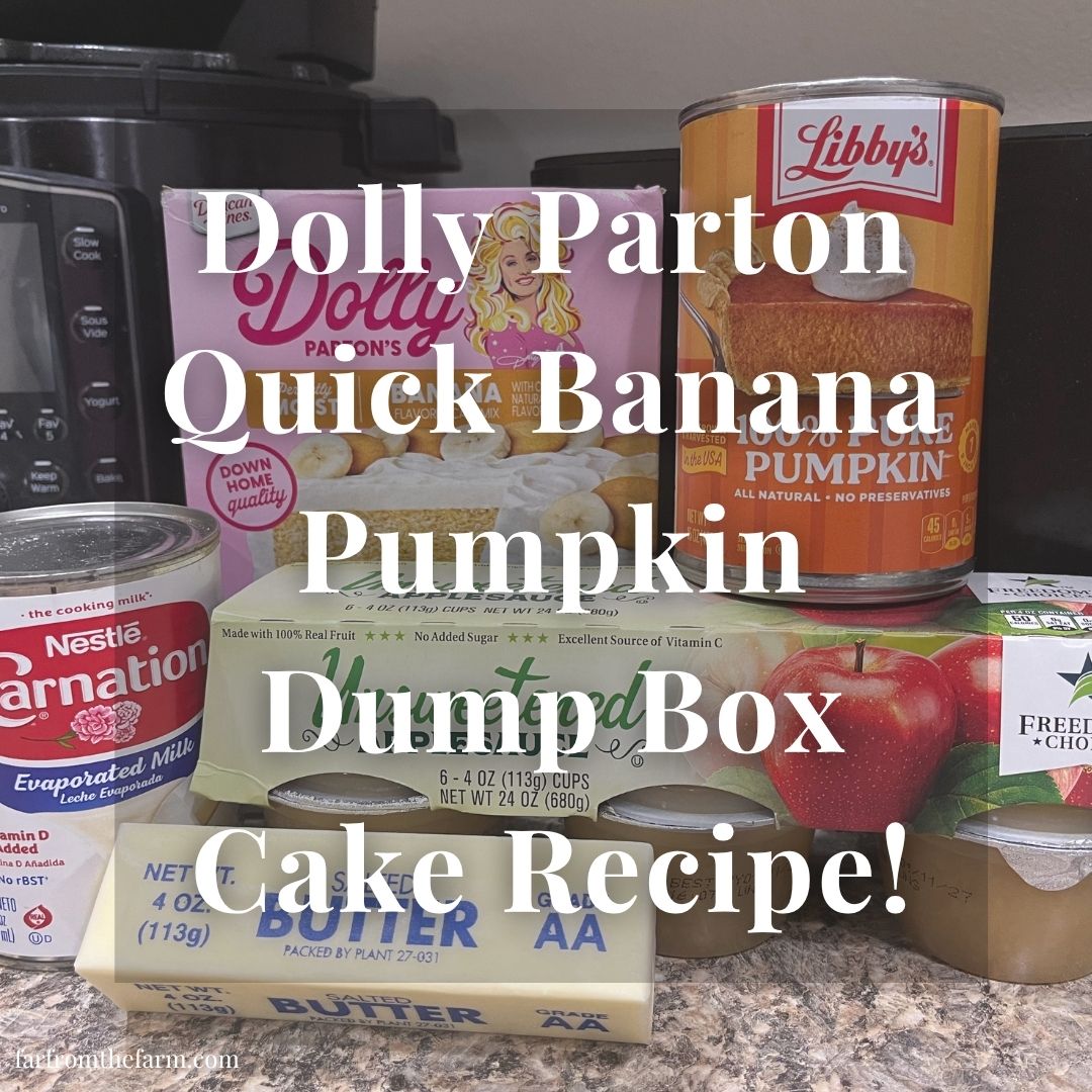 Dolly Parton Quick Banana Pumpkin Dump Box Cake Recipe!