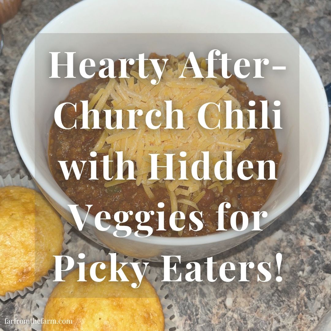 After Church Chili Recipe with Hidden Vegetables for Picky Eaters!