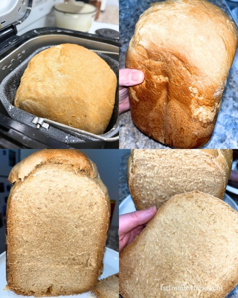 Bread Machine Honey White Loaf Recipe with Condensed Milk!