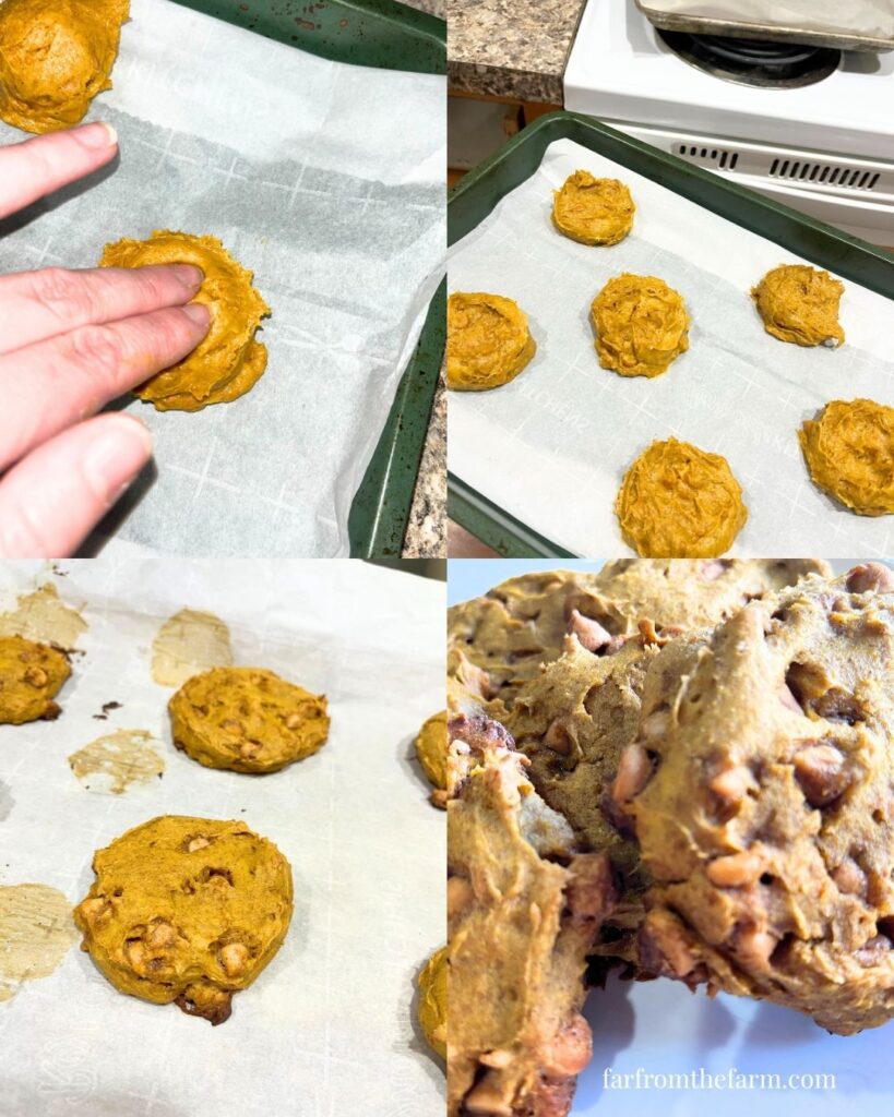 Fall Butterscotch Pumpkin Cookies Recipe!