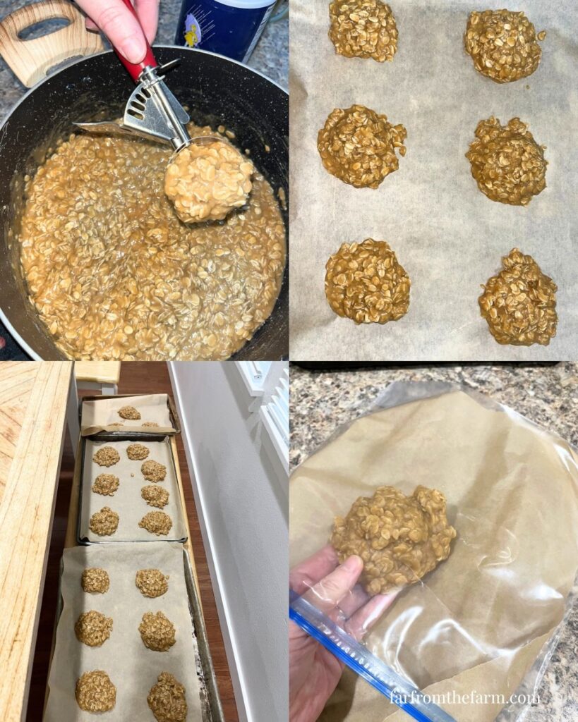 No Bake Peanut Butter Breakfast Energy Cookies!