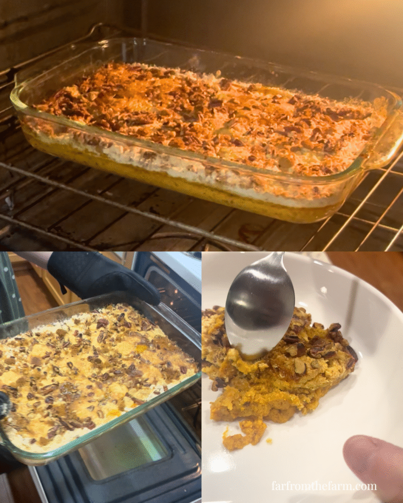 Dolly Parton Quick Banana Pumpkin Dump Box Cake Recipe!