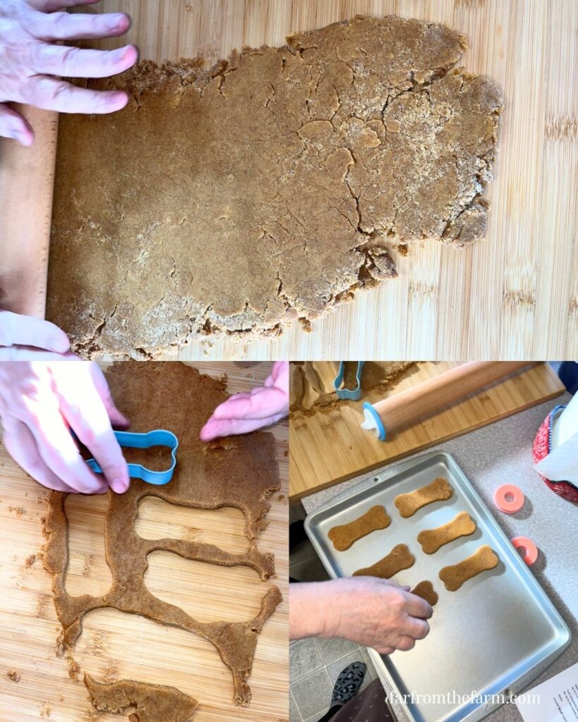 Easy Homemade Pumpkin Peanut Butter Bone Dog Cookies Big Batch Recipe!