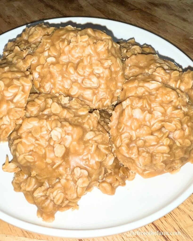 No Bake Peanut Butter Breakfast Energy Cookies!