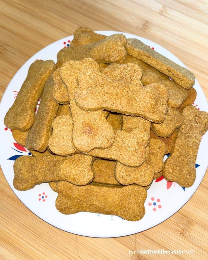 Easy Homemade Pumpkin Peanut Butter Bone Dog Cookies Big Batch Recipe!