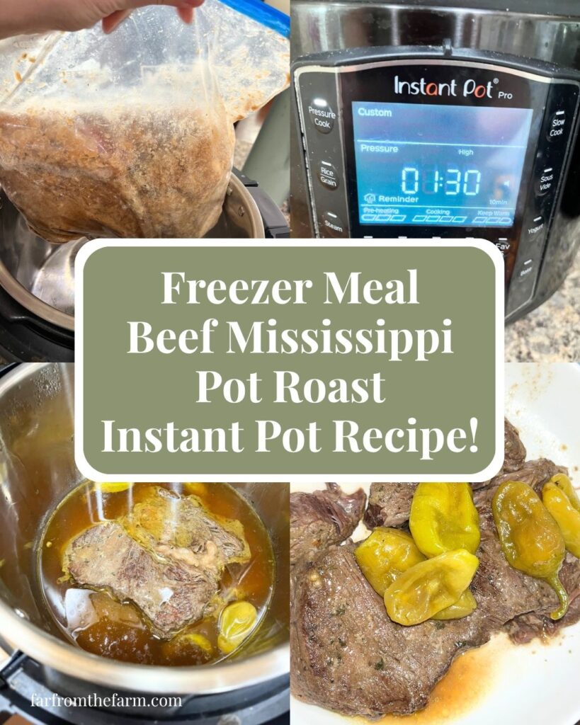 Freezer Meal Beef Mississippi Pot Roast Instant Pot Recipe!