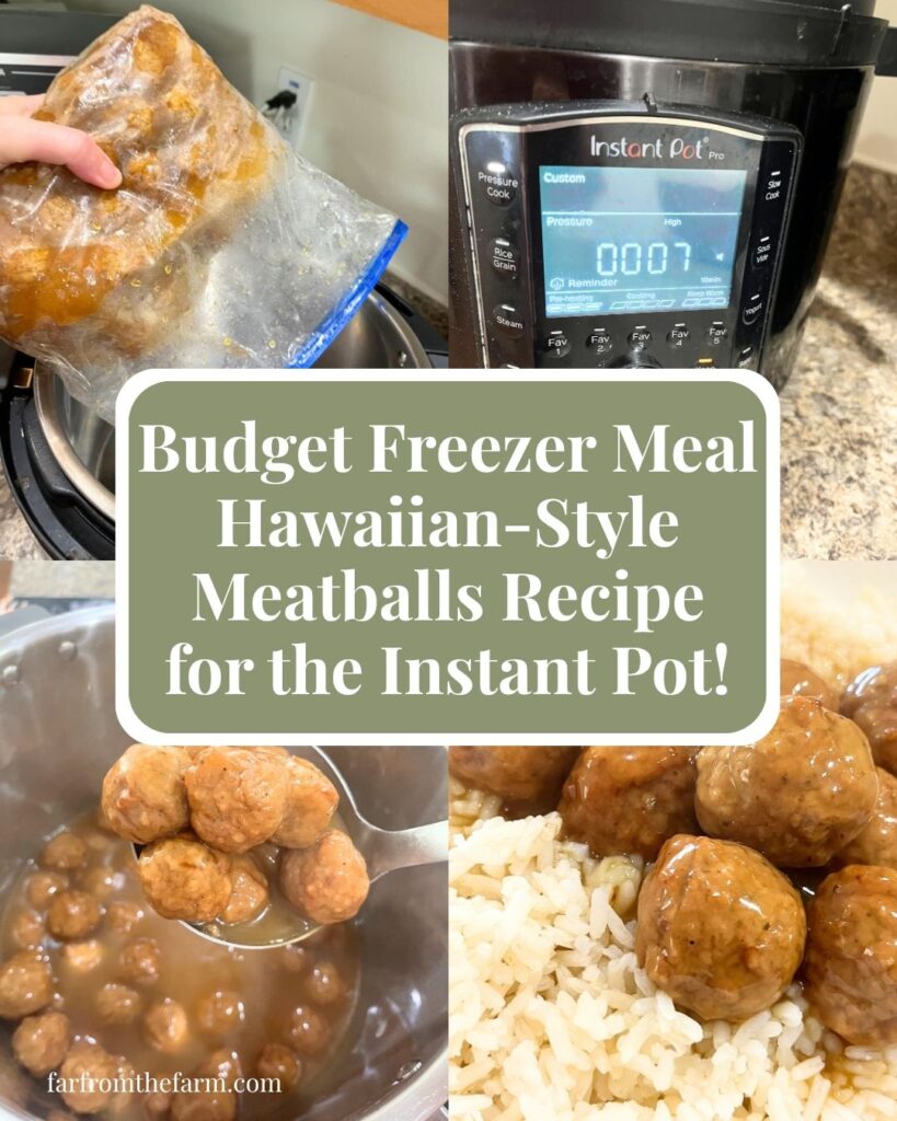 Easy Freezer Meal Budget Hawaiian-Style Meatballs Recipe for the Instant Pot!
