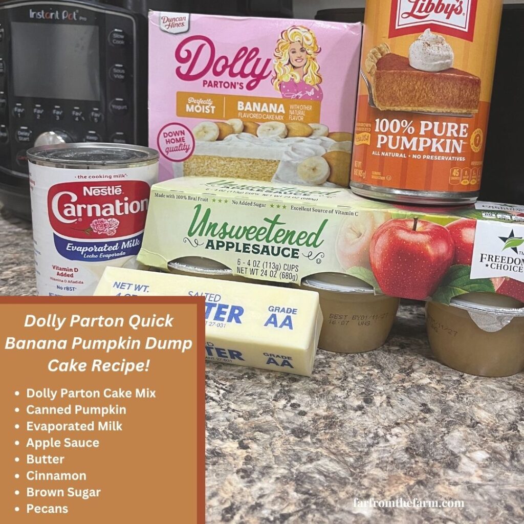 Dolly Parton Quick Banana Pumpkin Dump Box Cake Recipe!