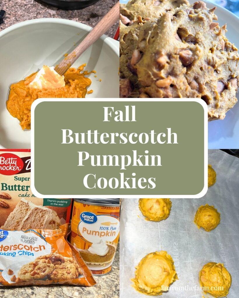 Fall Butterscotch Pumpkin Cookies Recipe!