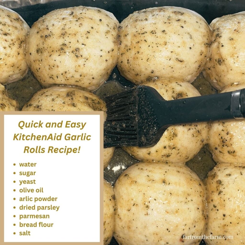 Quick and Easy KitchenAid Garlic Rolls Recipe!