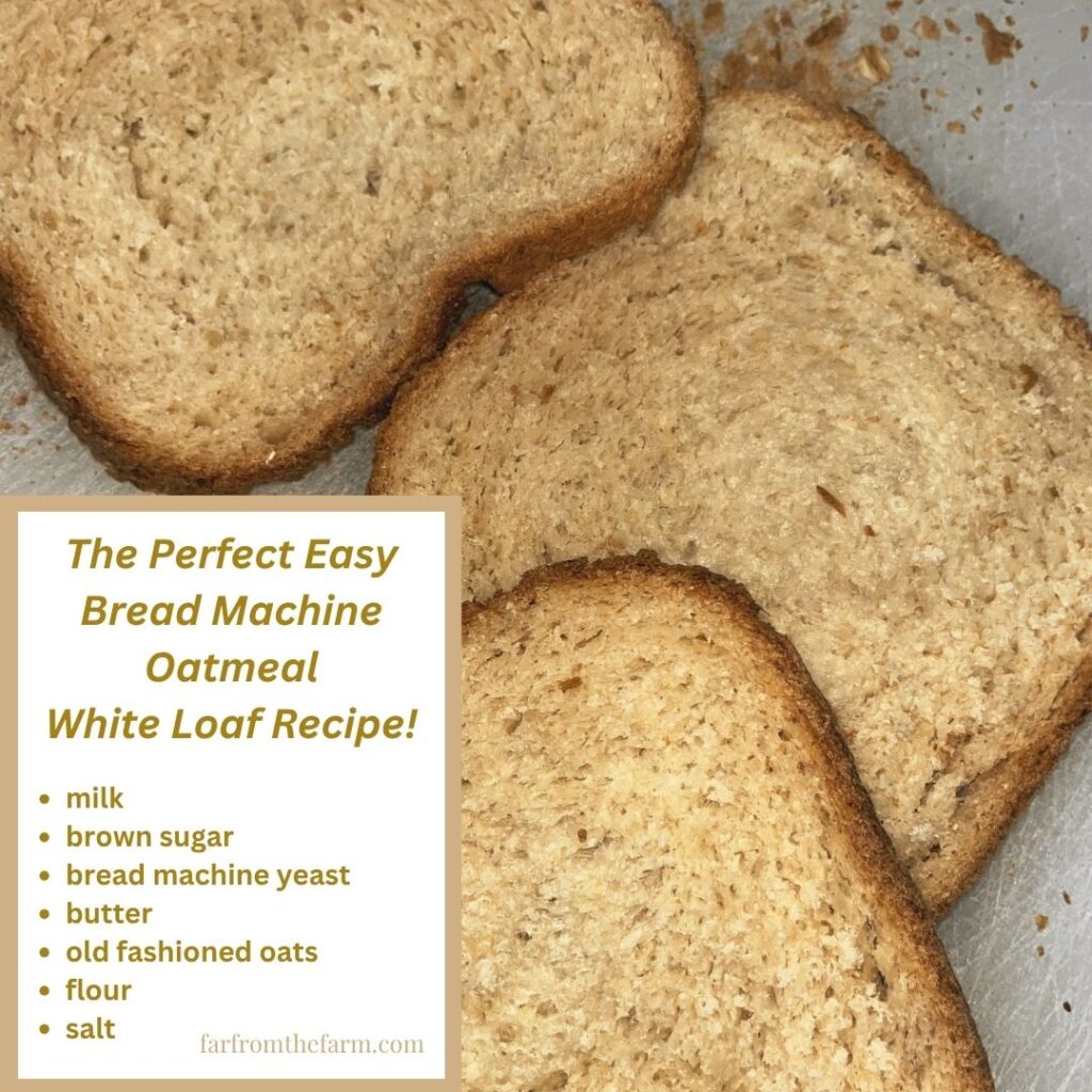The Perfect Easy Bread Machine Oatmeal White Loaf Recipe!