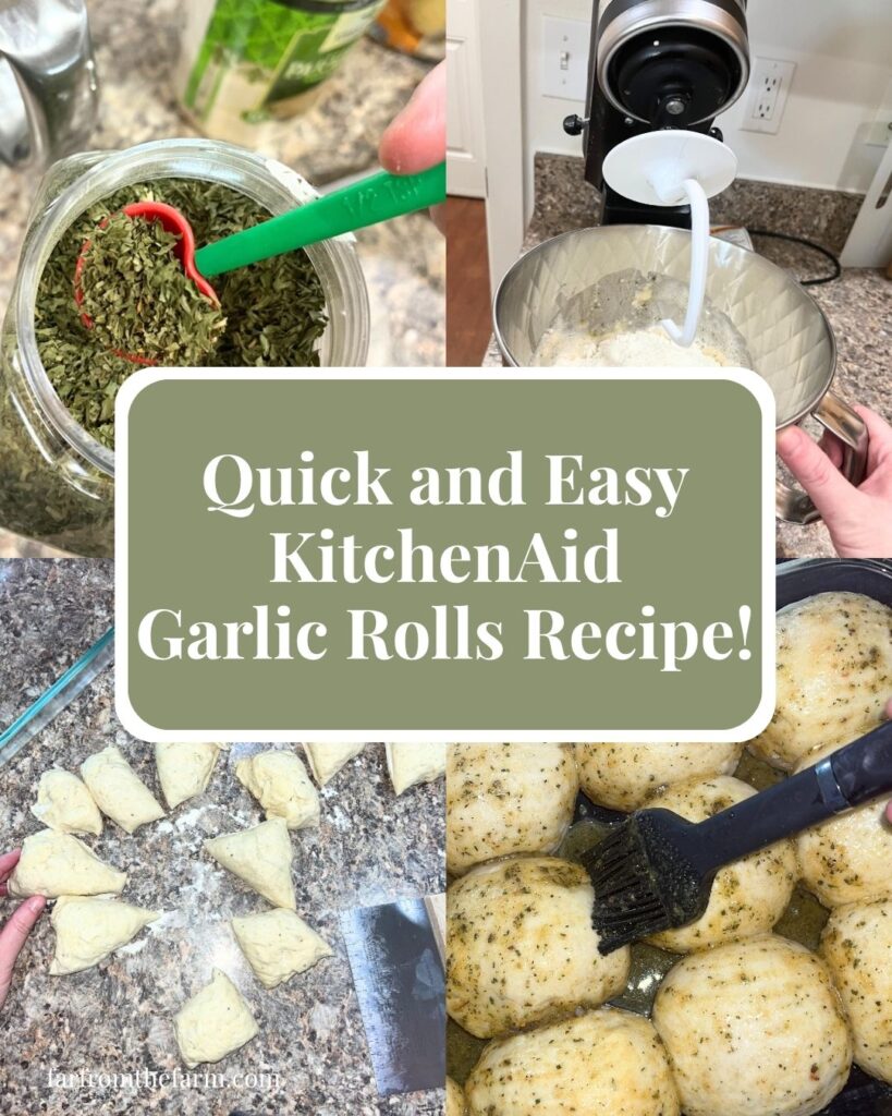 Quick and Easy KitchenAid Garlic Rolls Recipe!