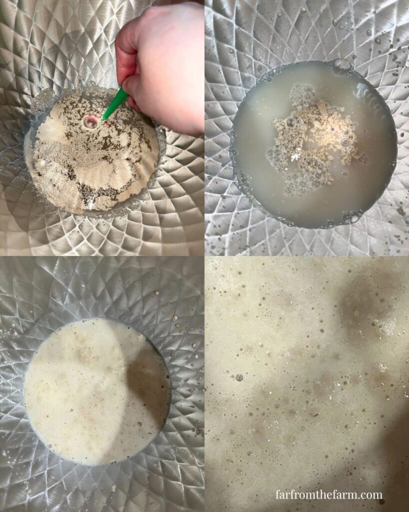 Quick and Easy KitchenAid Garlic Rolls Recipe!