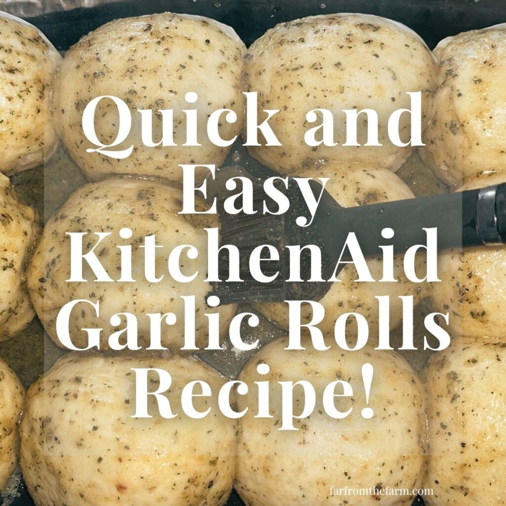 Quick and Easy KitchenAid Garlic Rolls Recipe!
