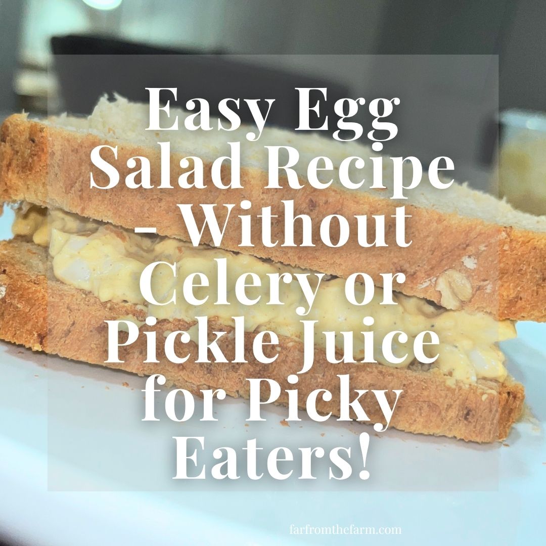 Easy Egg Salad Recipe Without Celery or Pickle Juice for Picky Eaters!