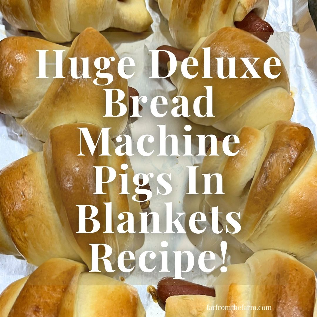 Huge Deluxe Bread Machine Pigs In Blankets Recipe!