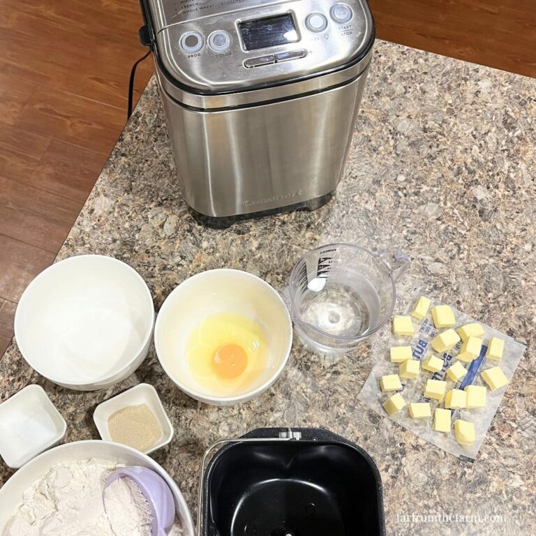 Basic Bread Machine Cinnamon Roll Dough Recipe!