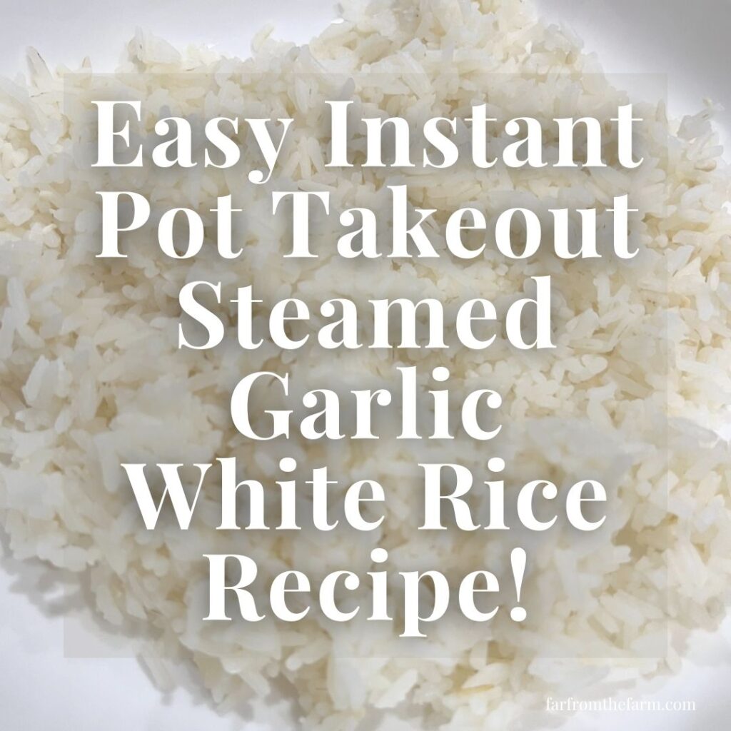 Garlic Steam Rice Easy Instant Pot Takeout Steamed Garlic White Rice Recipe! - Far From ...