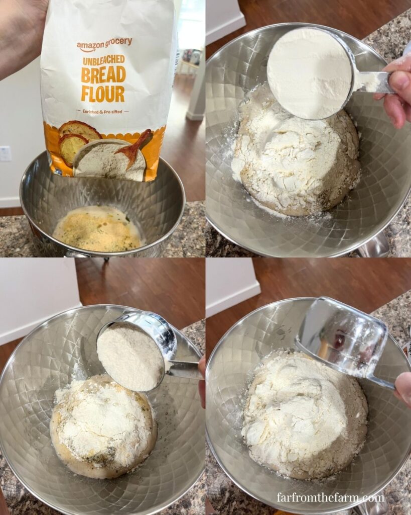 Quick and Easy KitchenAid Garlic Rolls Recipe!