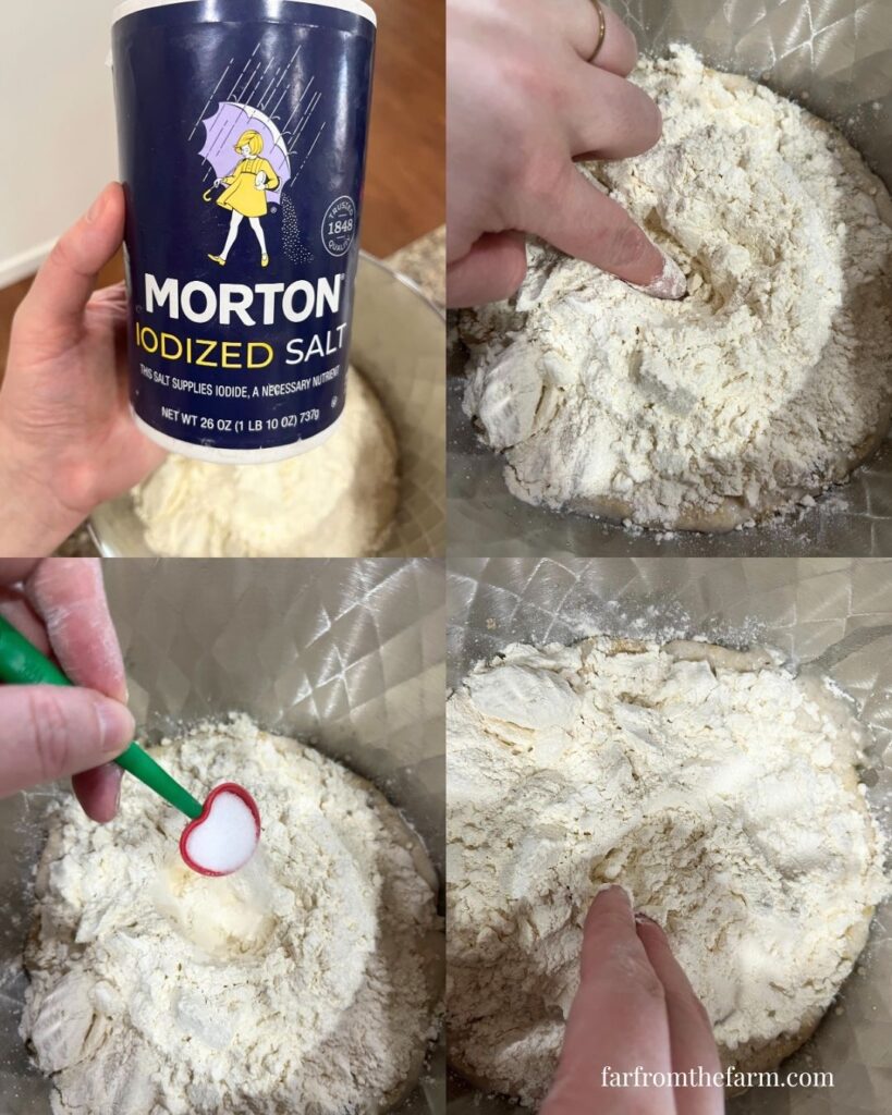 Quick and Easy KitchenAid Garlic Rolls Recipe!