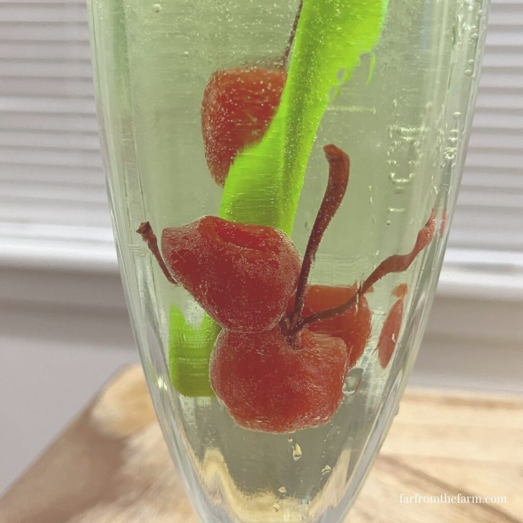 Grinch Fizz Cocktail Recipe!