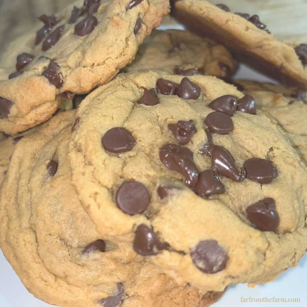 The Best Soft and Chewy Molasses Chocolate Chip Cookies Recipe!