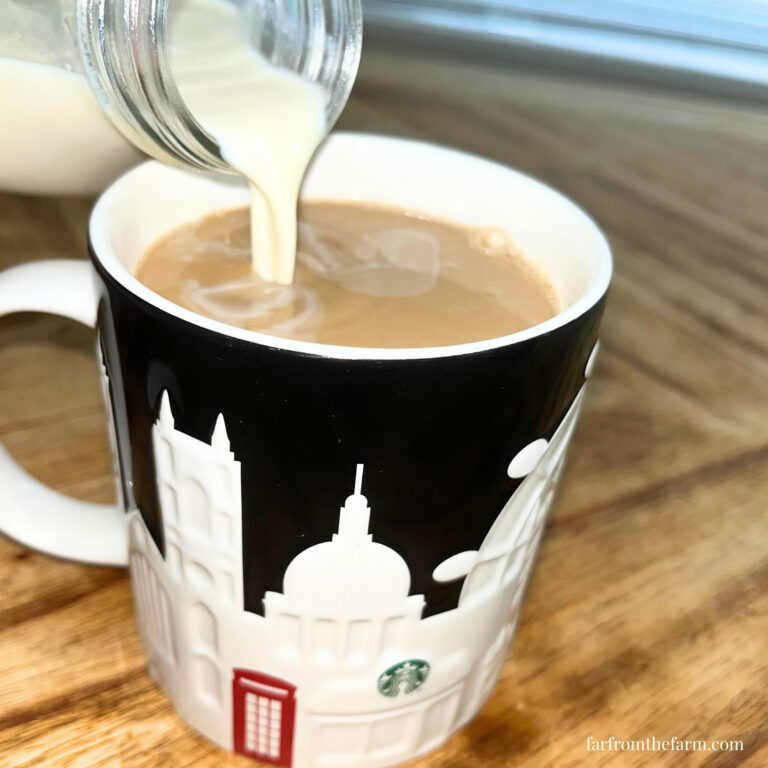 The Best From Scratch Homemade Hazelnut Coffee Creamer Recipe!