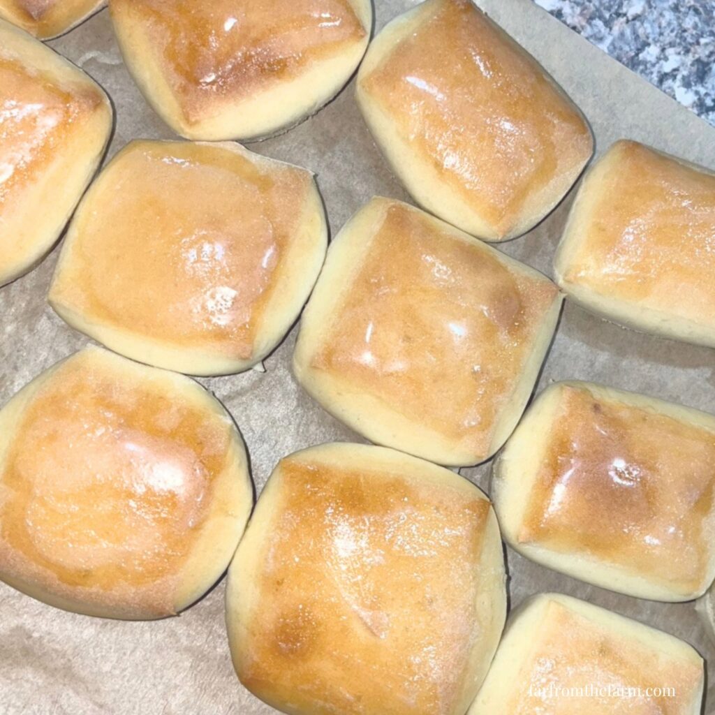The Best Copycat Texas Roadhouse Rolls Easy Stand Mixer Recipe!