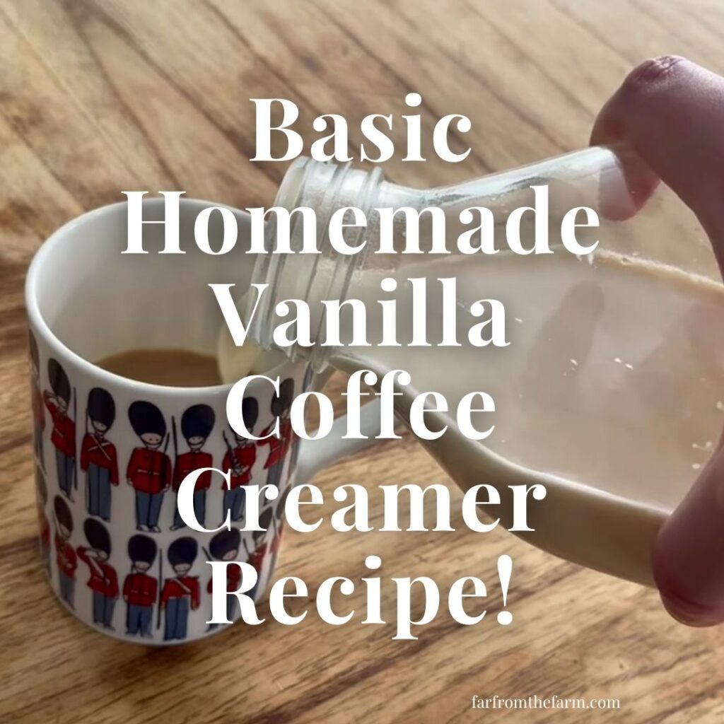 Easiest Homemade Vanilla Coffee Creamer Recipe You Can Make From Scratch In Minutes!