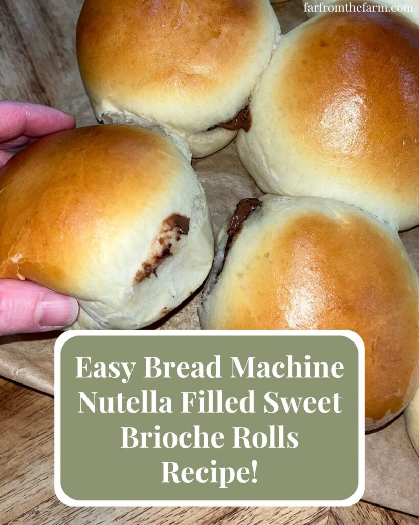 Easy Bread Machine Nutella Filled Sweet Brioche Rolls Recipe!