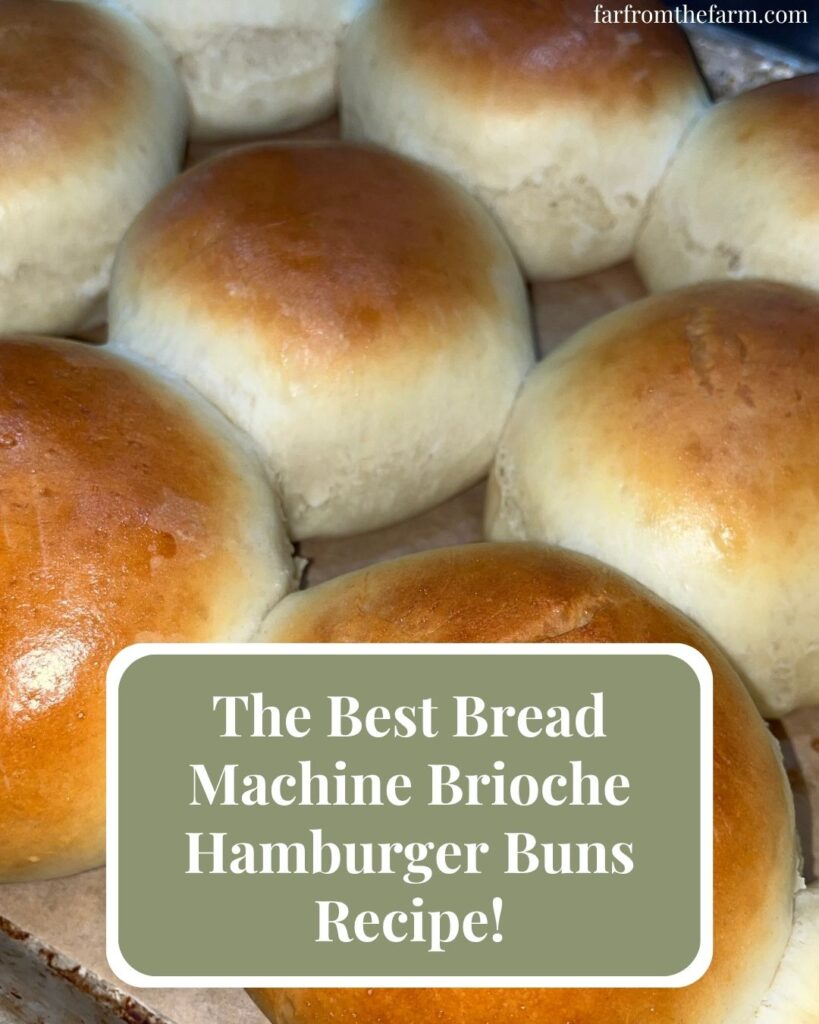 The Best Bread Machine Brioche Hamburger Buns Recipe!