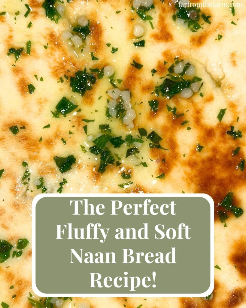 The Perfect Fluffy and Soft Naan Bread Recipe!