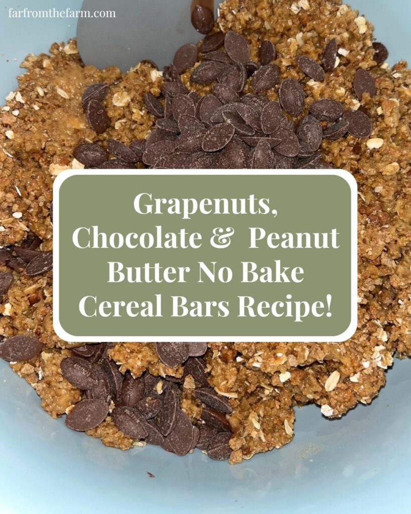 Grapenuts Chocolate Peanut Butter No Bake Cereal Bars Recipe!