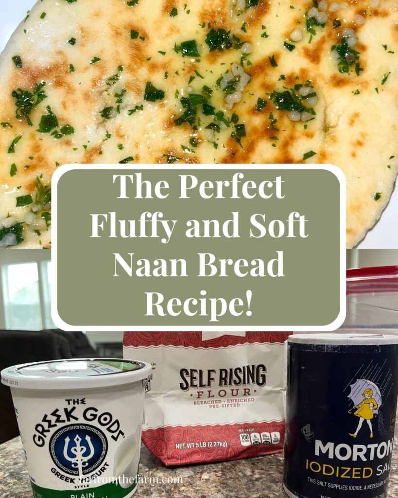The Perfect Fluffy and Soft Naan Bread Recipe!