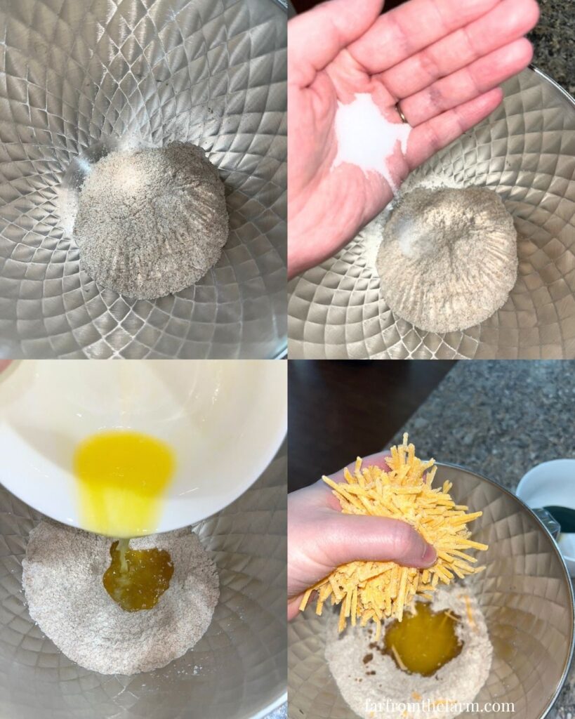 The Best Whole Wheat Cheesy Cracker Treats for Dogs!