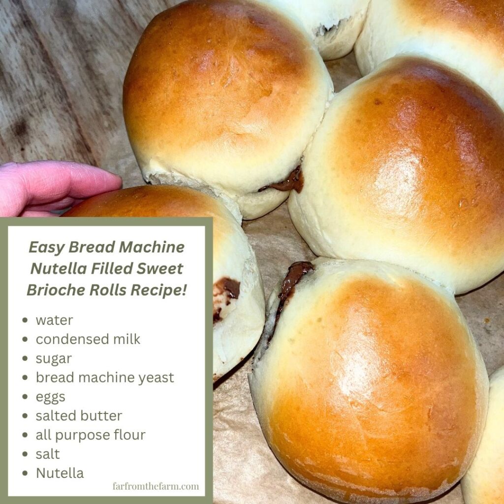 Easy Bread Machine Nutella Filled Sweet Brioche Rolls Recipe!