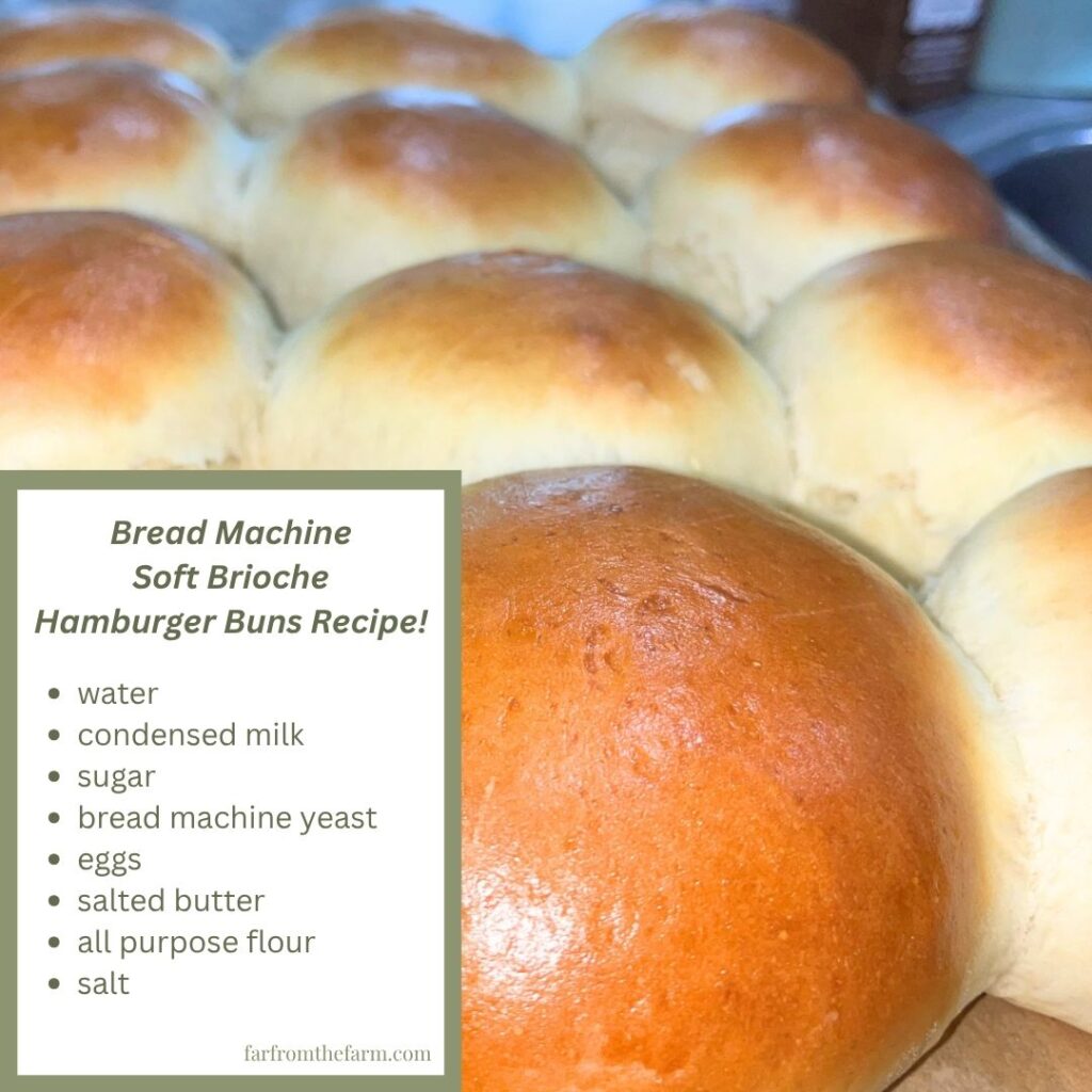 The Best Bread Machine Brioche Hamburger Buns Recipe!