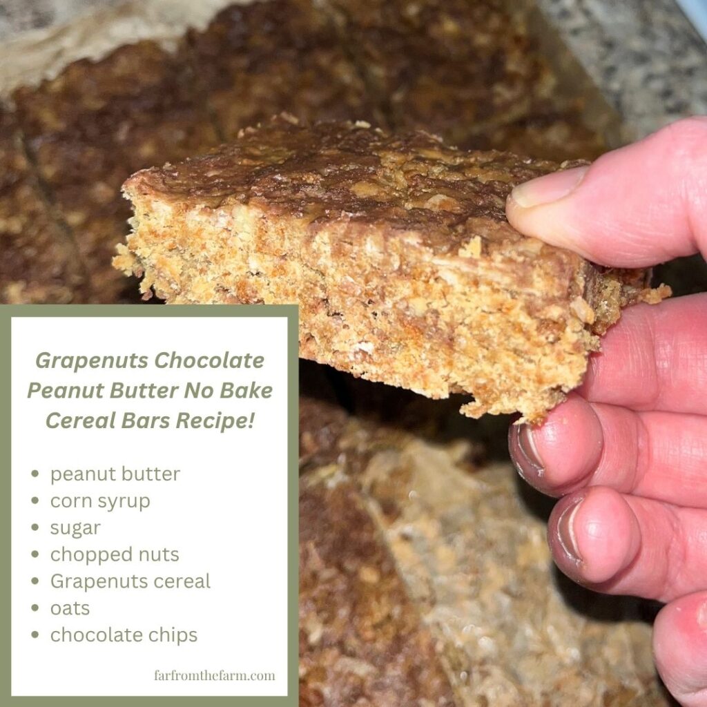 Grapenuts Chocolate Peanut Butter No Bake Cereal Bars Recipe!