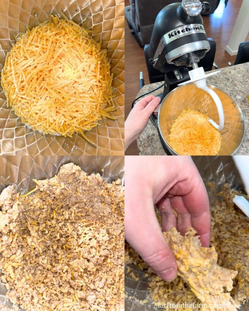 The Best Whole Wheat Cheesy Cracker Treats for Dogs!