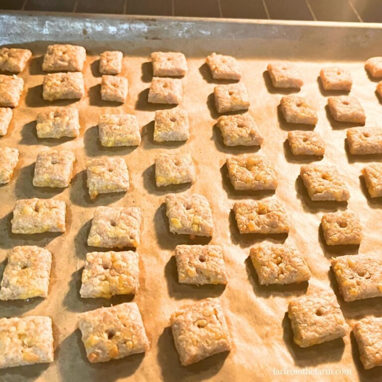 The Best Whole Wheat Cheesy Cracker Treats for Dogs!