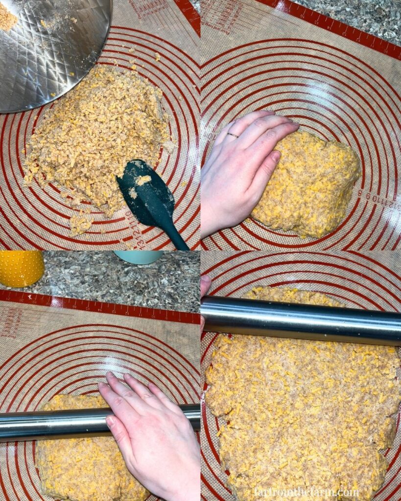 The Best Whole Wheat Cheesy Cracker Treats for Dogs!