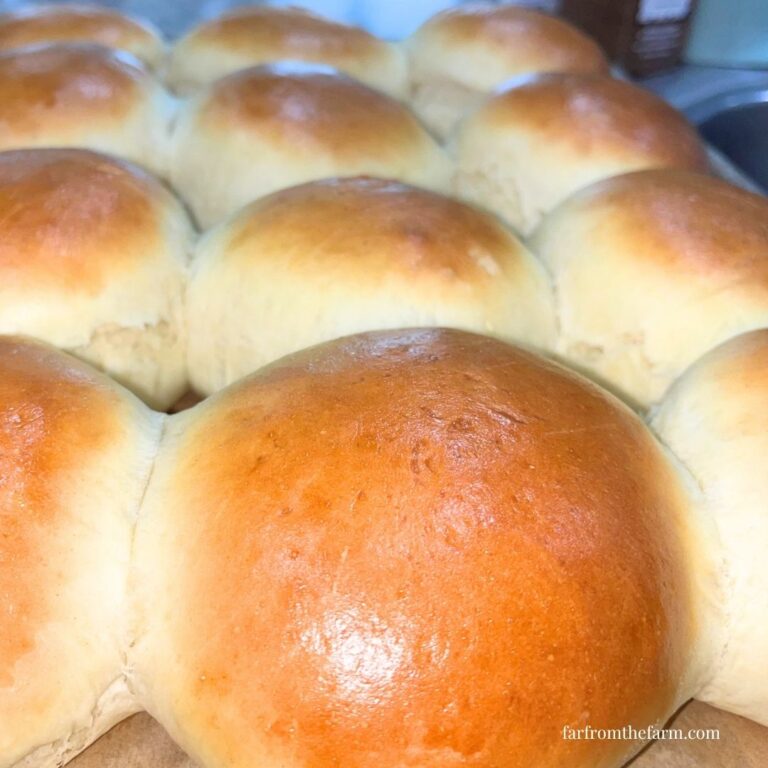 The Best Bread Machine Brioche Hamburger Buns Recipe!