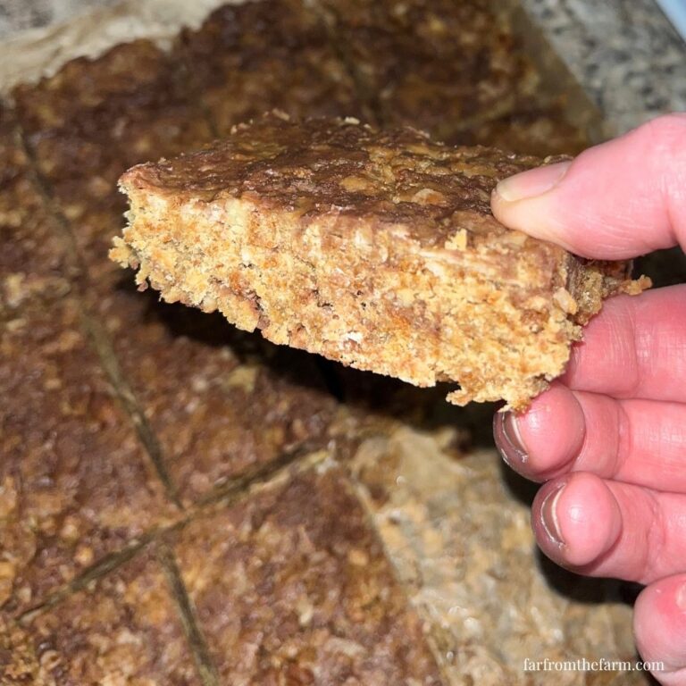 Grapenuts Chocolate Peanut Butter No Bake Cereal Bars Recipe!