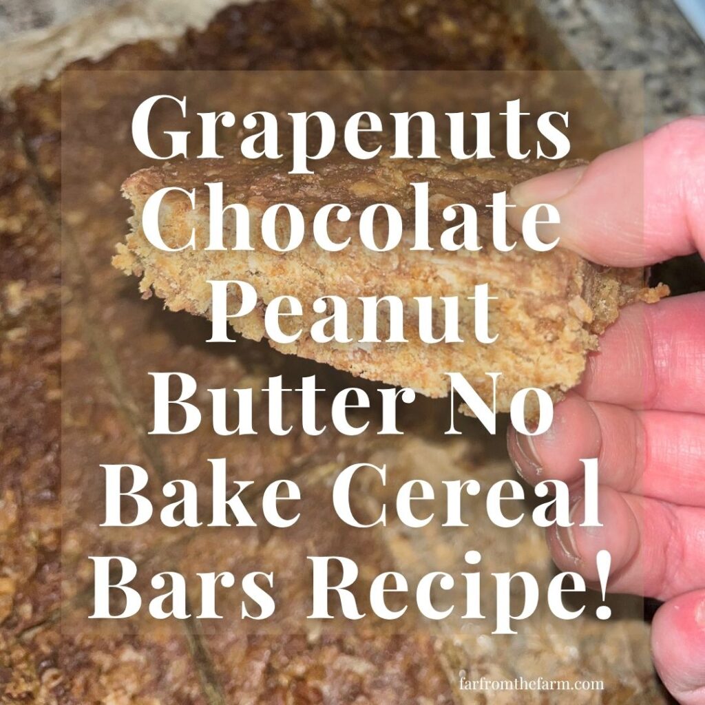Grapenuts Chocolate Peanut Butter No Bake Cereal Bars Recipe!