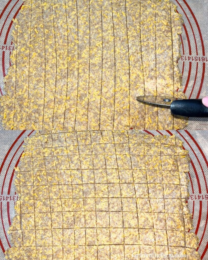 The Best Whole Wheat Cheesy Cracker Treats for Dogs!