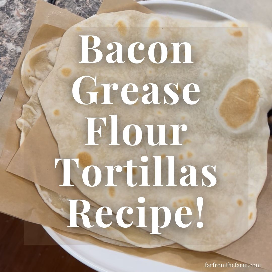 The Best Bacon Grease Flour Tortillas Recipe!
