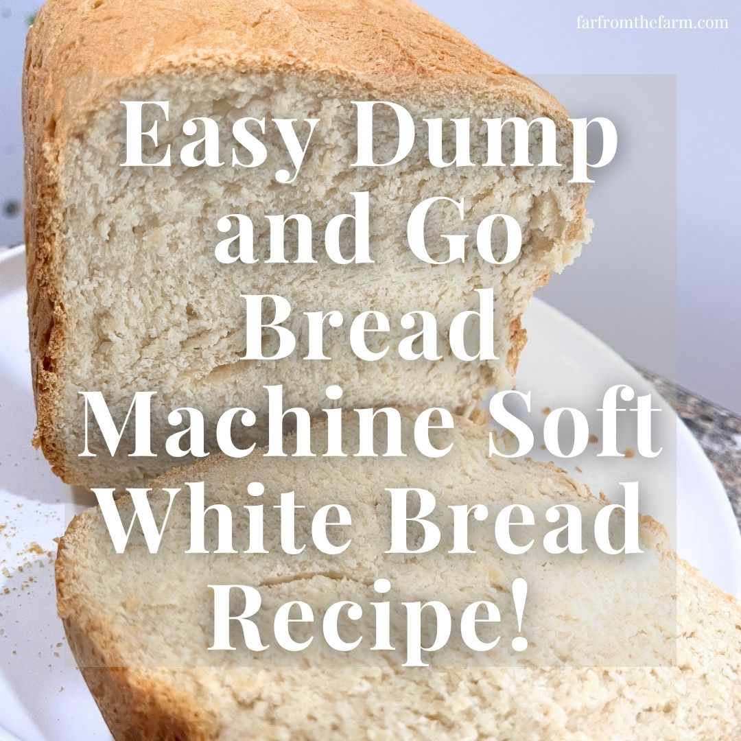 Easy Dump and Go Bread Machine Soft White Bread Recipe!