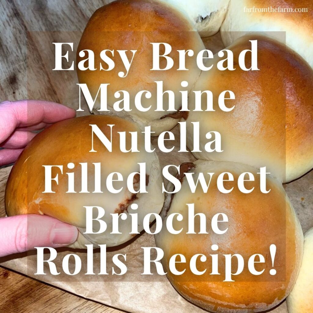 Easy Bread Machine Nutella Filled Sweet Brioche Rolls Recipe!