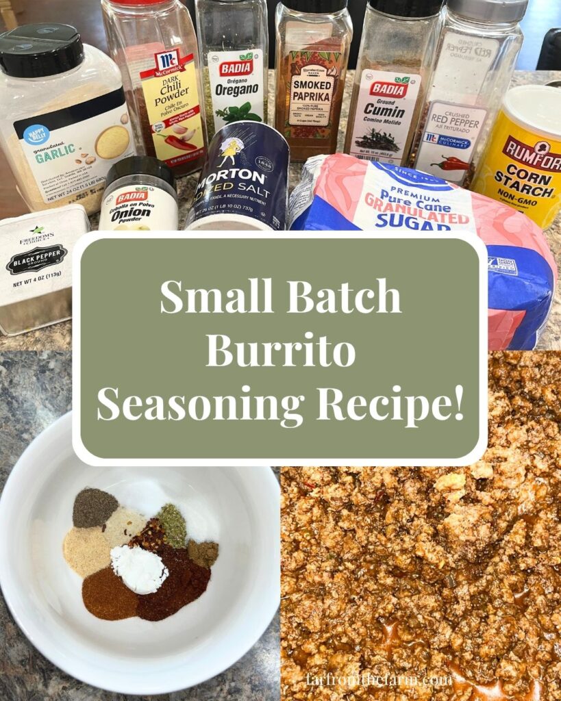 Small Batch Burrito Seasoning Recipe!