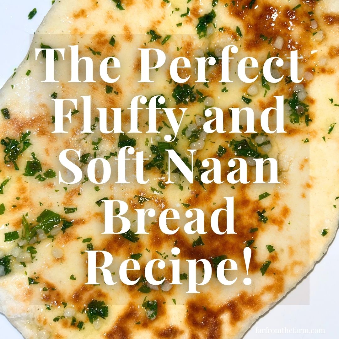 The Perfect Fluffy and Soft Naan Bread Recipe!
